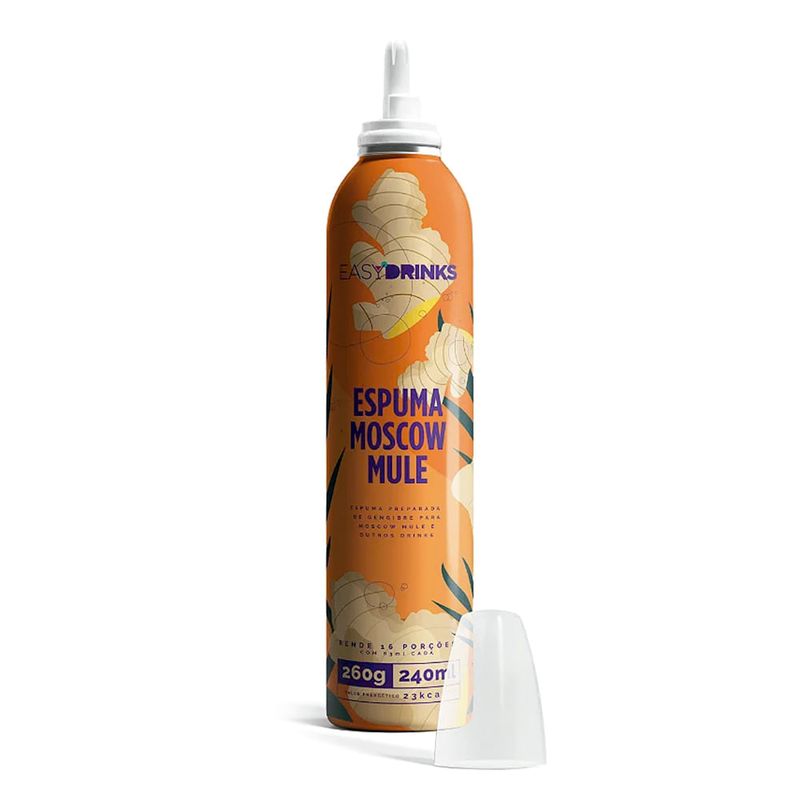 Espuma Preparada de Gengibre Easy Drinks 200g - Casa Santa Luzia