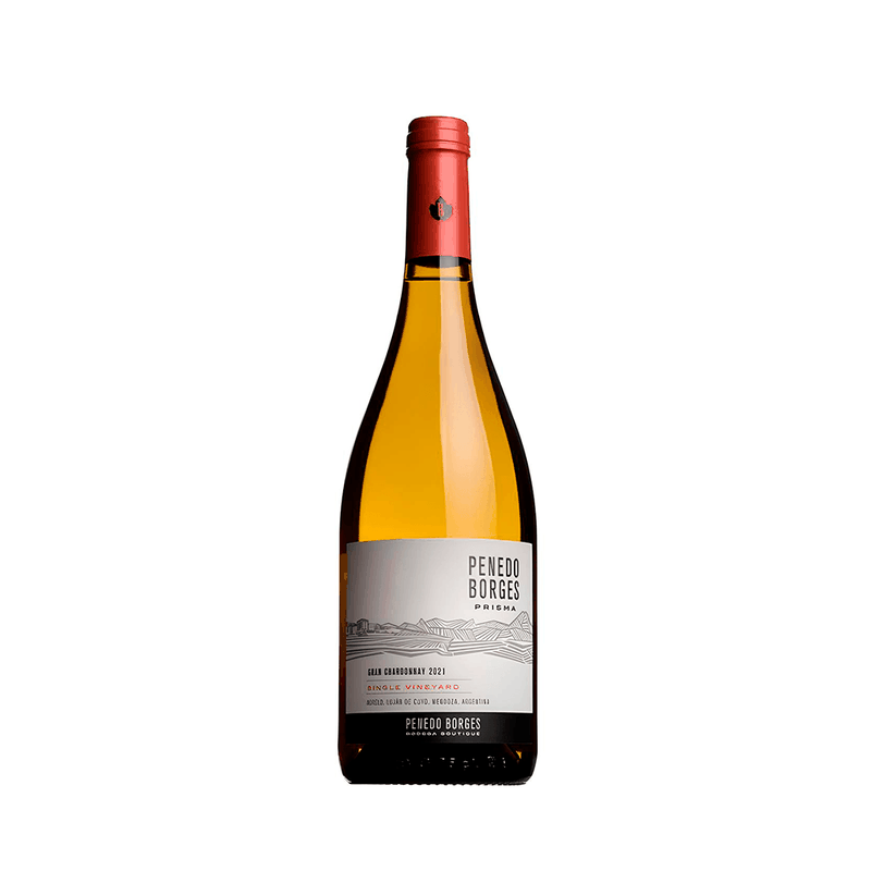 Vinho Penedo Borges Gran Chardonnay Branco - 750ml - Casa Santa Luzia
