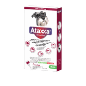Ataxxa Sol unção punctiforme Cão 10kg-25kg 1250mg+250mg 2.5ml